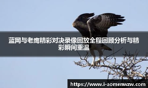蓝网与老鹰精彩对决录像回放全程回顾分析与精彩瞬间重温